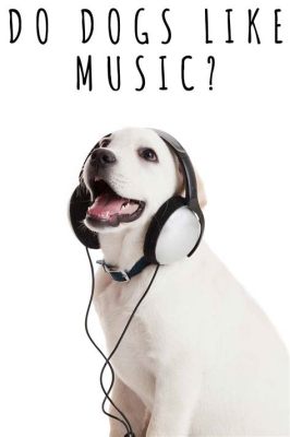 can dogs like music? do they enjoy it?