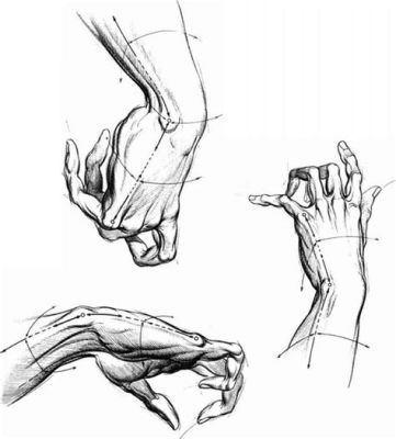 how to sketch a hand: the importance of understanding anatomy and proportions in art